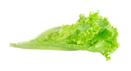 Fresh green lettuce transparent png - obrazy, fototapety, plakaty