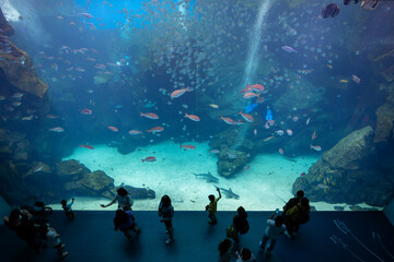 Fototapeta premium Xpark Aquarium in Taiwan