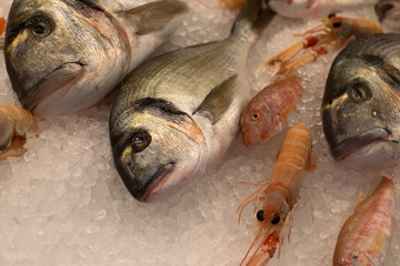Tiefgekühlte Fische (Dorade) liegen auf Eis gekühlt in einer Auslage eines Feinkosthändlers in München. Fotografin: Michaela Rehle - obrazy, fototapety, plakaty