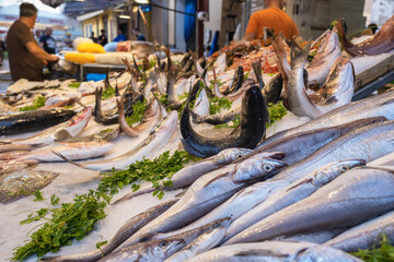 Stall with fishes on food market Capo in Palermo, Sicily