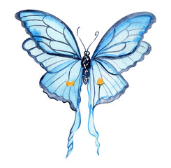 Watercolor colorful butterfly. Illustration of monarch butterfly.Hand drawn insect illustration for greeting cards, prints, post cards .