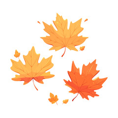 Autumn Leaves isolated on white background. Maple leaf. Vector illustration EPS10