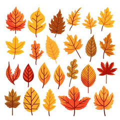 Autumn Leaves isolated on white background. Maple leaf. Vector illustration EPS10
