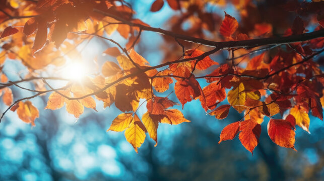 Farbenfroher Herbsthintergrund mit Herbstbl&auml;ttern im Sonnenlicht, leuchtendes Orange, Rot und helles Azurblau, Generative AI
