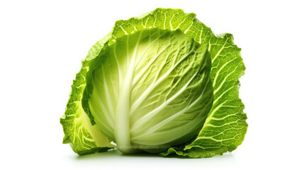 photorealism of cabbage isolated on white background,Ai generative.