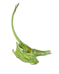 dragon is diving and flying on white background