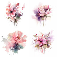Beautiful flowers soft pink watercolor clipart 