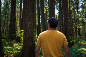 Young man walking and enjoying the view of a forest. Rear view of man standing looking at sunlight shining through trees