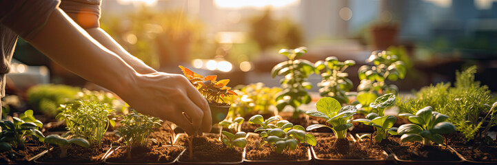 Urban farm on a roof poster with copy space - Generative AI