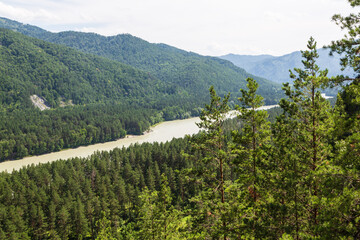 Katun River, fast mountains river with rocky banks coniferous forest covered, Altai mountains,...