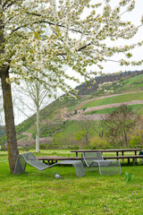 Park with chairs and much trees near the river in spring time.