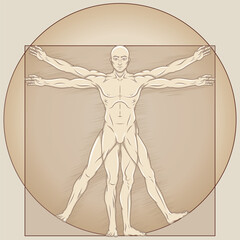 Vitruvian man Vector design