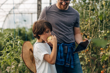 Closeup view of a son eating apple in the greenhouse with his father.