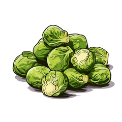Brussel sprouts hand-drawn illustration. Brussel sprouts. Vector doodle style cartoon illustration
