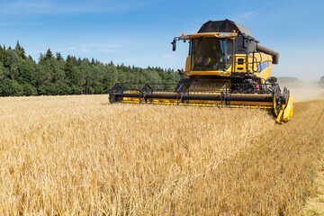 Obraz premium Harvesting with combines