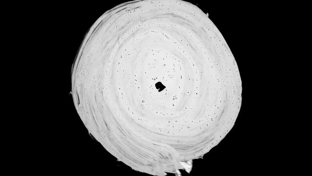 Ink Brush Stroke White in black background. Paint Brush Strokes Transition  whit
