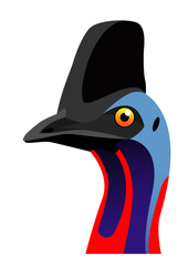 Kaswari head vector