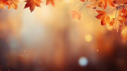 Autumn leaves with bokeh background, fall, foliage