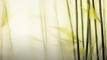 Close up of a bamboo  tree