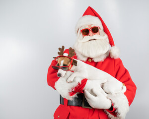 Portrait of santa claus in sunglasses and dog jack russell terrier in rudolf reindeer ears on a white background. 