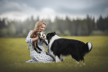 Naklejka na ściany i meble Border collie dog sniffing a lamb in woman's hands