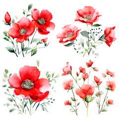 Set of red floral watecolor. flowers and leaves. Floral poster, invitation floral. Vector arrangements for greeting card or invitation design	