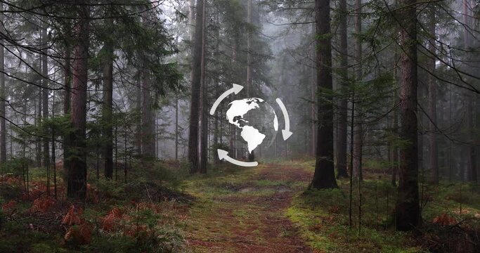 Foggy misty woods with path and animated 3d earth planet with rotating arrows.