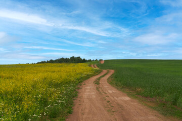 Picturesque panoramic view of the winding field road beyond the horizon in the countryside. Copy space.