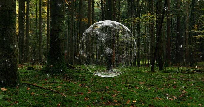 Mossy green forest with digital sphere and binary data cyberspace network