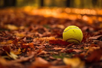 Abwaschbare Fototapete Rot  violett Tennis ball lying amidst fallen autumn leaves on a court, merging sport with nature
