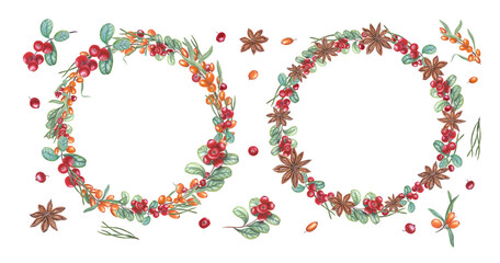Watercolor set of wreathes of sea buckthorn, star anise, cowberry, pine needles isolated on transparent background. Illustration for invitation, birthday, Christmas, New Year cards. Space for text