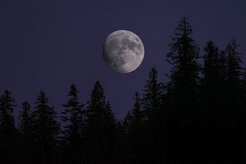 Fototapeta na wymiar Full Moon in Purple Sunset