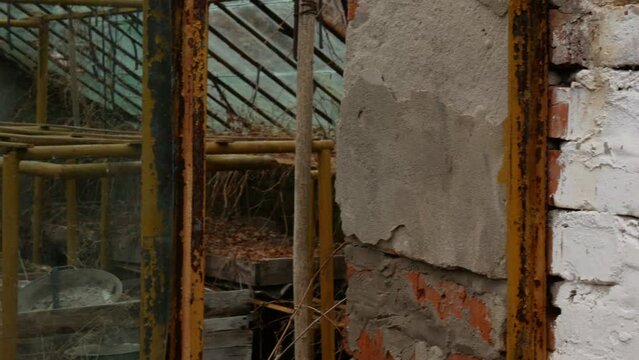 Video filming of metal and rusty racks for plants in a greenhouse. A slow transition from the whitewashed brick walls to the greenhouse.