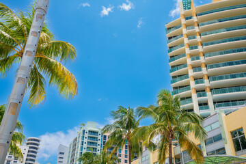 Fototapeta na wymiar Miami Beach tropical destination scene