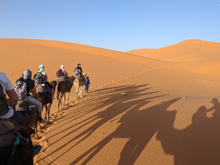 A caravan of dromedaries passing the Sahara desert in the evening