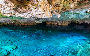 Cenote Park Aktunchen with limestone rocks turquoise water and nature.