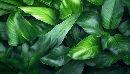Obraz premium Tropical green leaves background. Generative ai