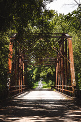 bridge in the park