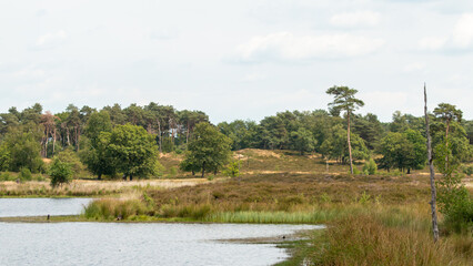 Natural landscape of the national park Haterse and Overasseltse Vennen in Overasselt, province Gelderland, Holland on a cloudy sunny day during the summer