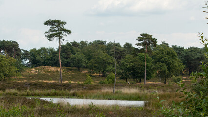 Natural landscape of the national park Haterse and Overasseltse Vennen in Overasselt, province Gelderland, Holland on a cloudy sunny day during the summer