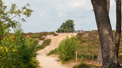 round bench on a dune hill on the the national park Haterse and Overasseltse Vennen in Overasselt, province Gelderland, Holland
