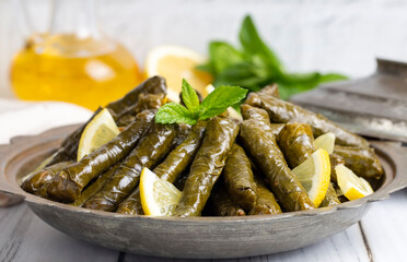 Delicious dolma (sarma) stuffed grape leaves rice, white yogurt sauce. Lebanese dolma sarma on plate. Lebanon turkish greek middle eastern cuisine. (Turkish name; Yaprak sarma)