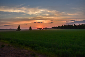 Fototapeta na wymiar Sunset over field or garden 