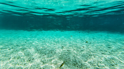 underwater turquoise texture in water   wide angle view