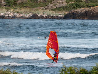 They all rushed to the coastline when the wind started to show off