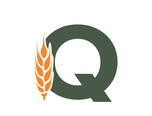 letter q with wheat ear. harvest alphabet logotype. cereal farming, agriculture and grain crops design. vector image