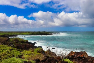 Viewpoint (Isla Isabela- Galapagos Islands)