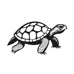Obraz premium turtle, tortoise, vector graphic, black and white icon, sea, wildlife animal
