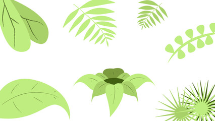 hojas y plantas en vector ilustracion