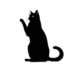 Cat Silhouette, Black and white SVG isolated graphics in the white background